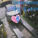 금호타이어(포항타이어) 이미지