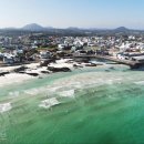 팰롱팰롱 이미지