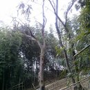 청도감마을 이미지