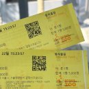 솔마루길 대공원산 | 과천 서울대공원 동물원 서울 근교 나들이 추천