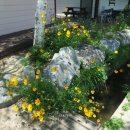 정선펜션 1박2일 이미지