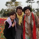 문암목장 이미지