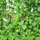 동두천역 이미지