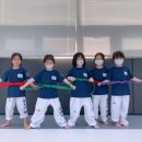 용인대 미르 태권도장 이미지