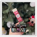 굿타임 | 홍삼세트 부모님선물로 고른 이유, 풍년보감 고려홍삼정 올데이굿타임 솔직후기