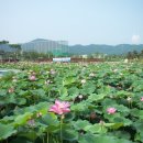 신정호수공원-9 이미지