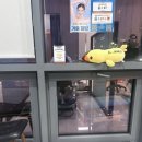 [내 돈 내산] 닥터 디자이너 영등포점에서 턱 보톡스 후기