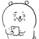 카우보이스 이미지