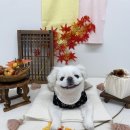 멍앤미 이미지