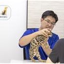 강남애니동물메디컬센터
