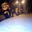 올림투어 Daum카페