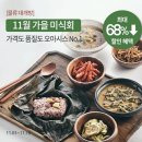 오아시스 이미지