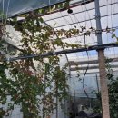 복인 민박 이미지