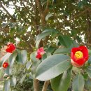 남도삼백리길(4코스) 이미지