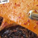 화천코다리