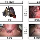 그림문구