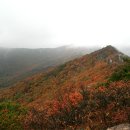 제421차 11/12일 해남 두륜산 산행안내 이미지