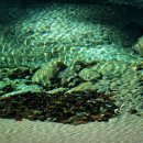 계곡이 있는 풍경 이미지