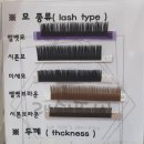 래쉬또비