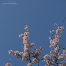 토리두두 이미지