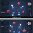 통풍에 걸리는 이유 이미지