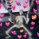 황산토종정육식당 이미지