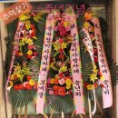 놀자7080 이미지