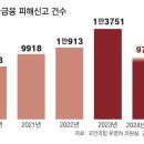 [단독]정책금융 상품인줄 알고 클릭… 불법 대부업체 덫이었다 이미지