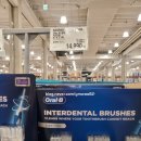 폴리덴탈 이미지