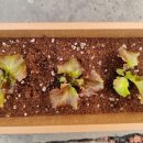 구축농장 이미지