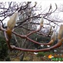 에프엠푸드 이미지