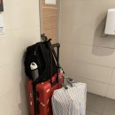 MEL(멜버른): 홀로, 새해를 멜버른에서