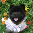 땡글땡굴 이미지