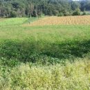 소태면사무소 이미지