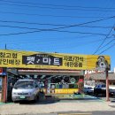 펫마트경주점