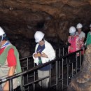 용연동굴 이미지