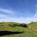 정자목장 이미지