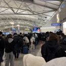 다(多)문화, 두근두근 세계여행 | 도쿄 근교 여행 당일치기 5곳 다녀온 솔직 후기(사진 多)