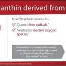 라온365온누리약국 이미지