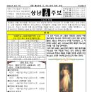 상남04 이미지