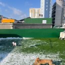 멍머니 2호점 이미지