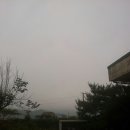 쑥마니판매장 이미지