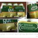 구트(gut)