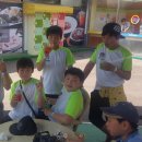 용인대쌍용태권도 이미지