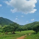 순천승마장 이미지