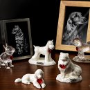 드림펫 동물병원 이미지