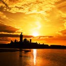 대성목재 이미지