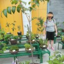 산약초 동의보감 이미지