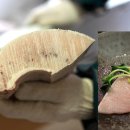 미식가 참치 이미지