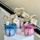 (주말) 서양화 | W5. 둑흔둑흔 상견례 후기(근데 이제 예약이 더 힘든...)